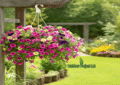Colorful Mini Petunia Hanging Basket on a Porch