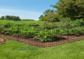 Rabbit Jumping Near Garden Fence – How to Protect Your Garden