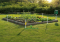 Electric Fence Around Garden to Stop Raccoons