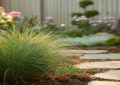 Slender Veldt Grass in a Sunny Garden Landscape